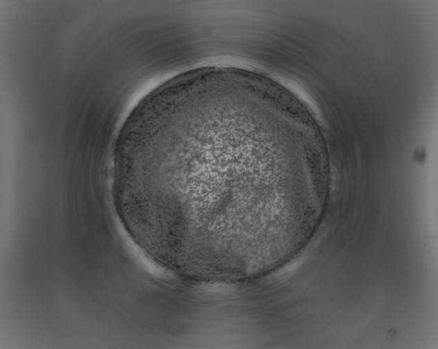 X0000092291040200709281302