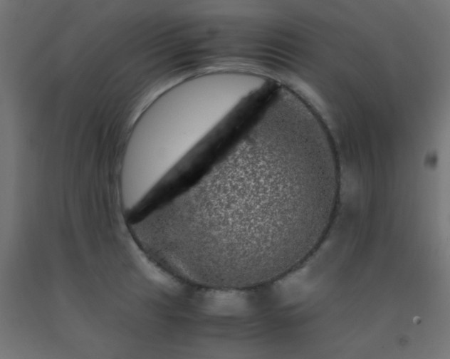 X0000092291041200709281302