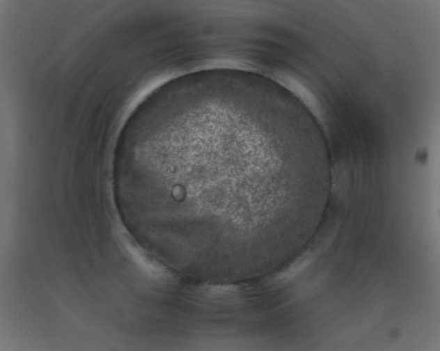 X0000092291043200709281302