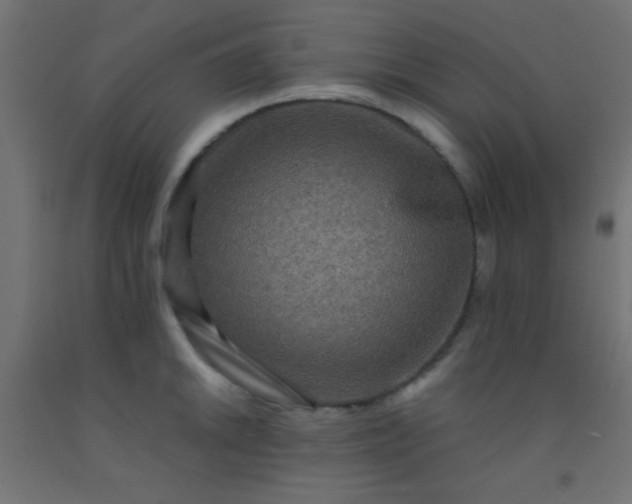 X0000092291046200709281302