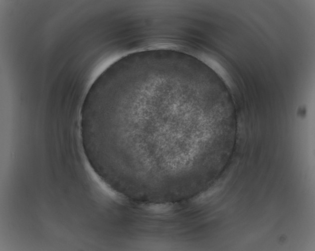 X0000092291047200709281302