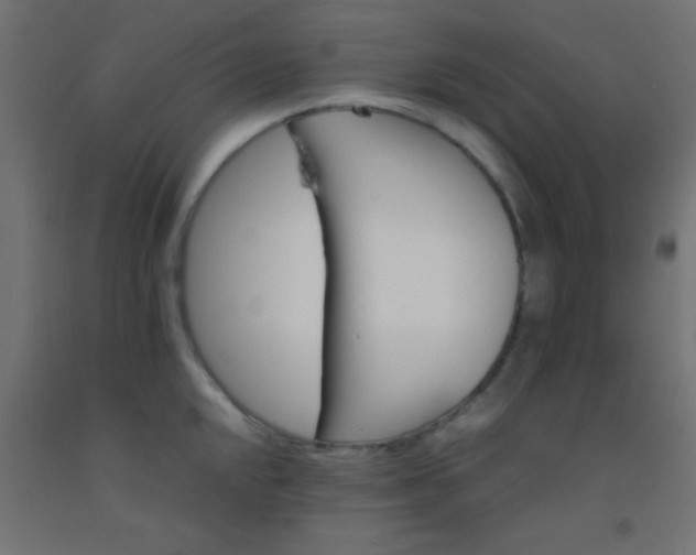 X0000092291048200709281302