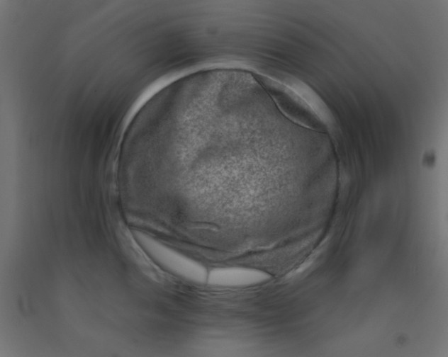 X0000092291052200709281302