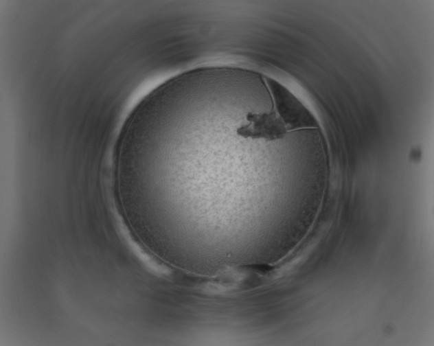 X0000092291053200709281302