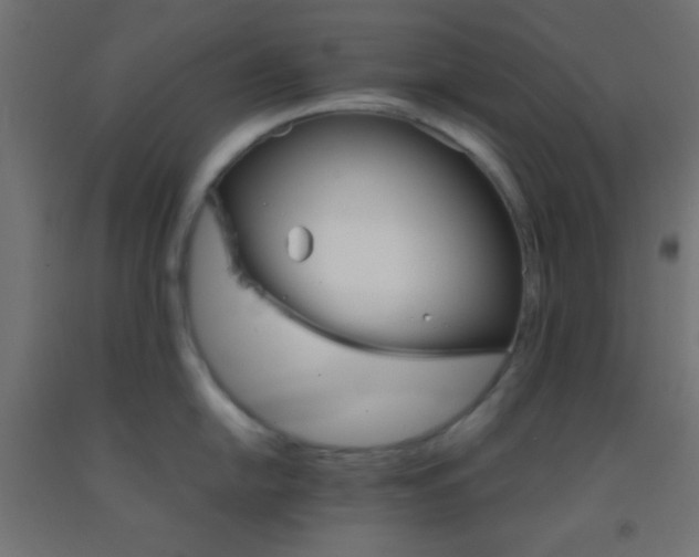 X0000092291054200709281302