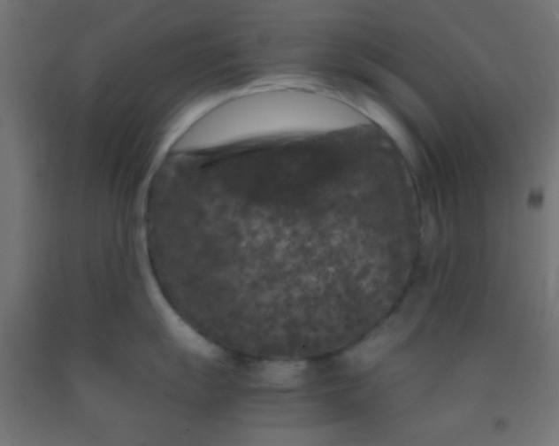 X0000092291055200709281302