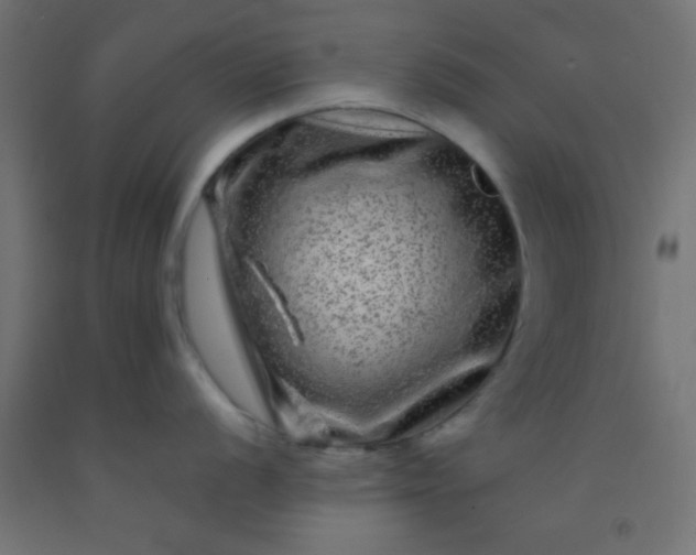 X0000092291056200709281302