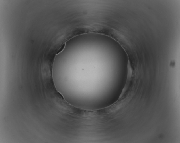 X0000092291058200709281301