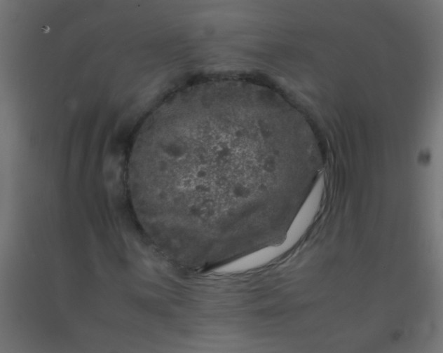 X0000092291059200709281301