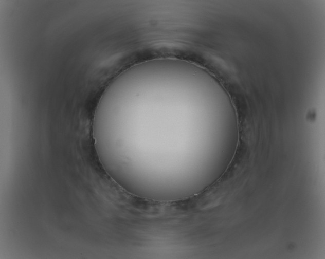 X0000092291061200709281301