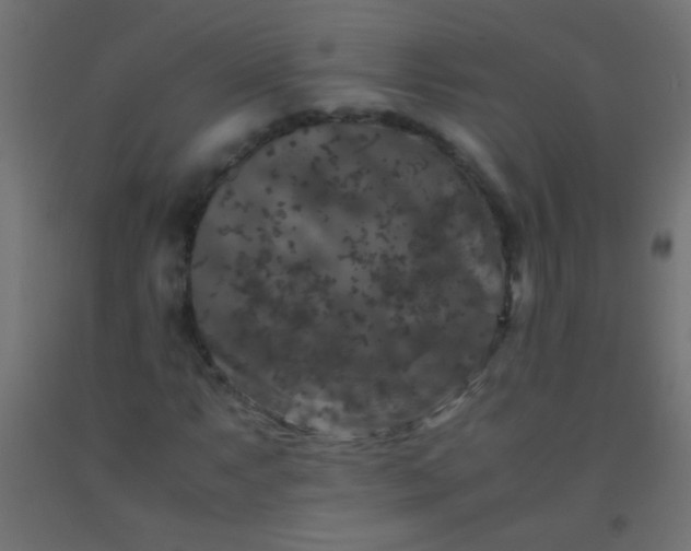 X0000092291063200709281301