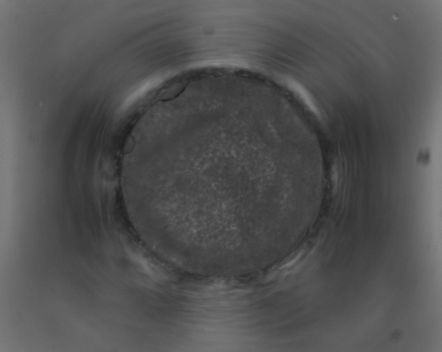 X0000092291064200709281301