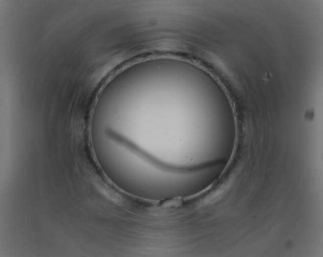 X0000092291065200709281301