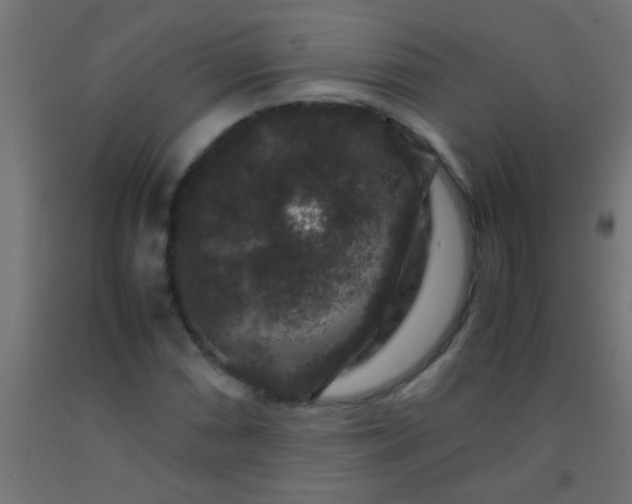 X0000092291066200709281301