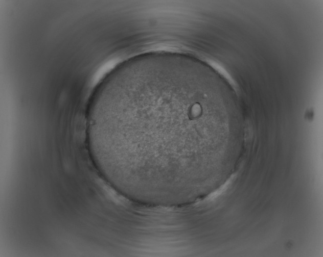 X0000092291067200709281301