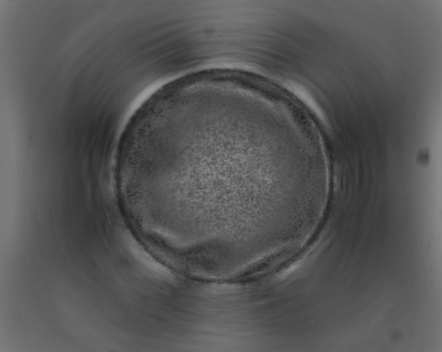 X0000092291068200709281301