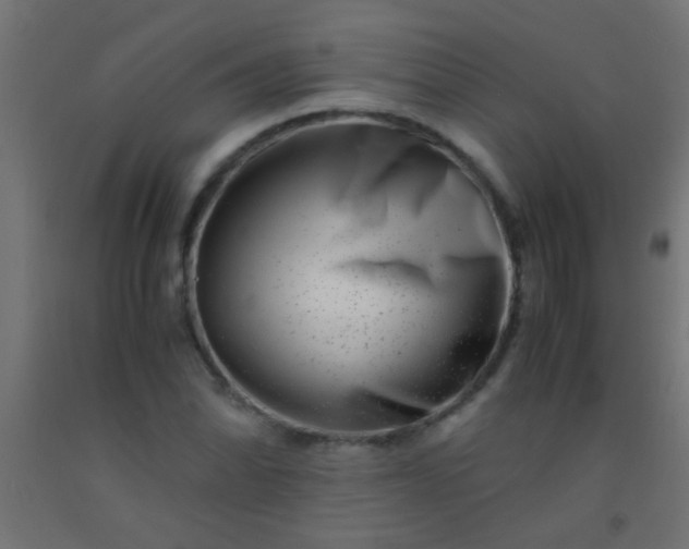 X0000092291070200709281301