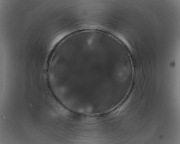 X0000092291071200709281301