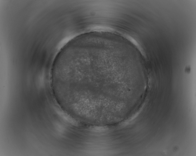 X0000092291074200709281301