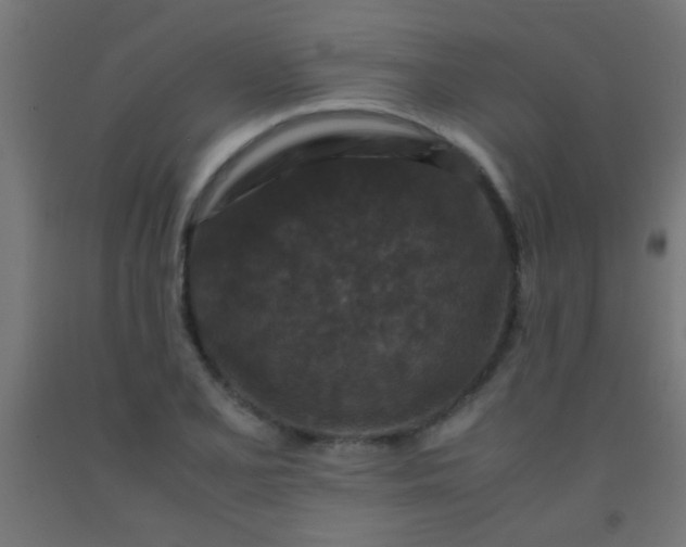 X0000092291077200709281301