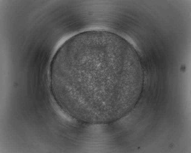 X0000092291078200709281301