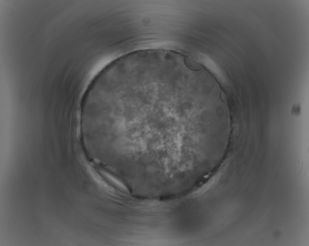 X0000092291079200709281301