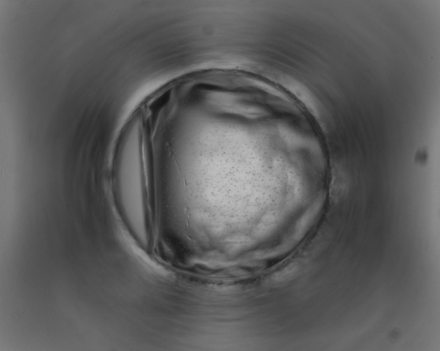 X0000092291080200709281301