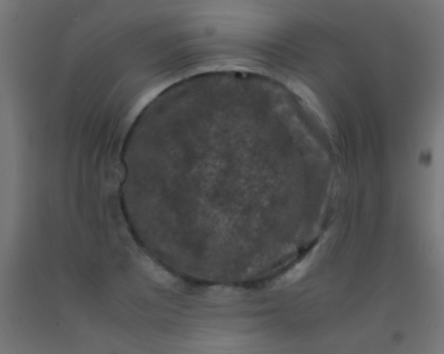 X0000092291081200709281301