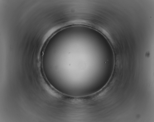 X0000092291082200709281301