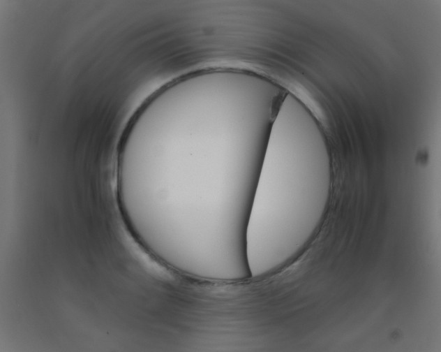 X0000092291084200709281301