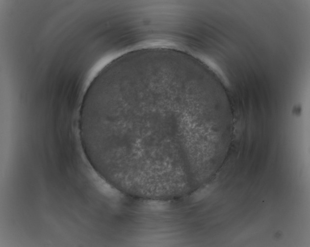 X0000092291086200709281301