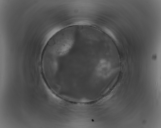 X0000092291087200709281301