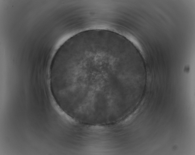 X0000092291088200709281301