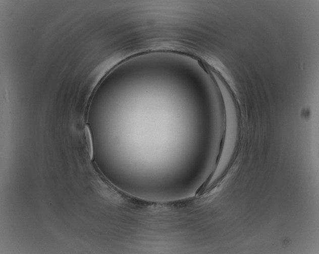 X0000092291089200709281301