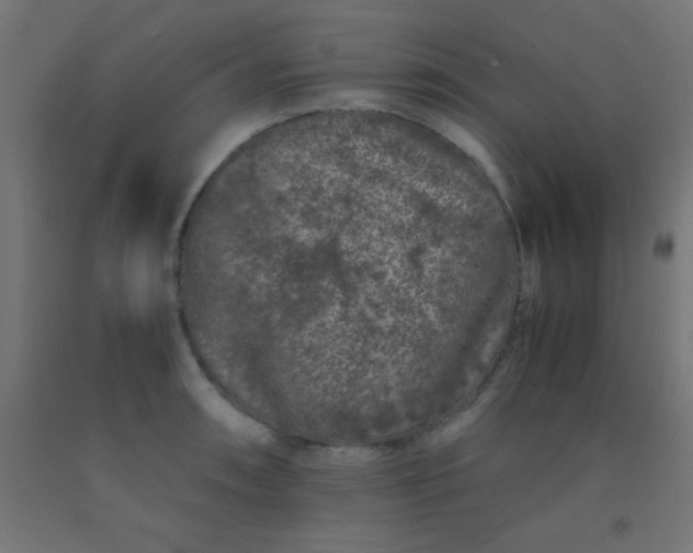 X0000092291090200709281301