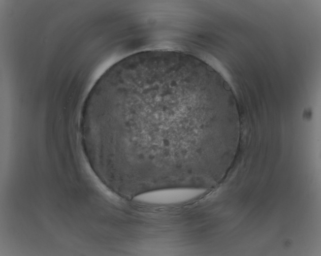 X0000092291091200709281301