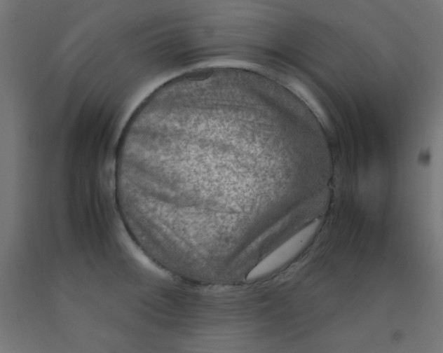 X0000092291092200709281301