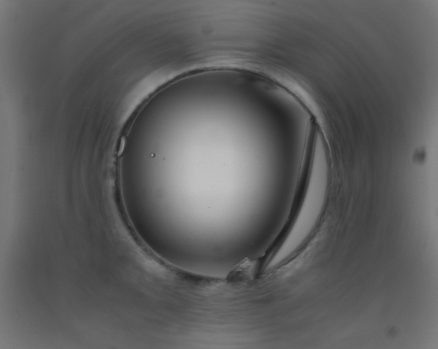 X0000092291093200709281301