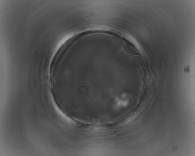 X0000092291095200709281301