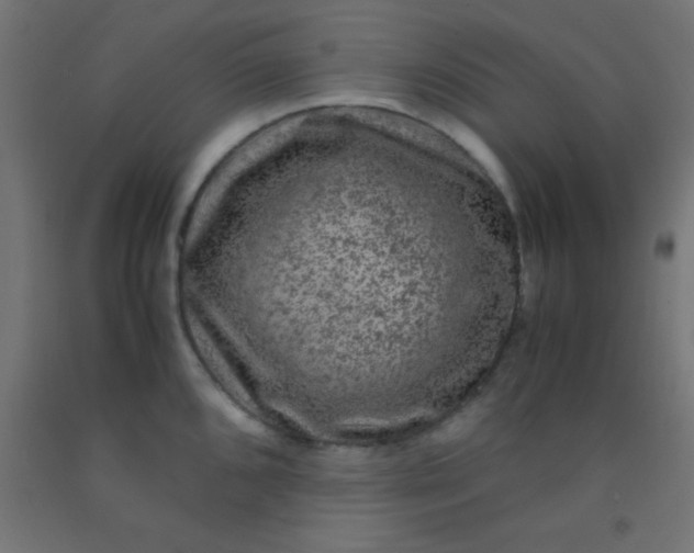 X0000092291096200709281301