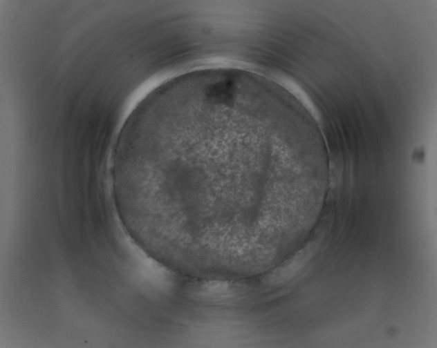 X0000092291098200709281301