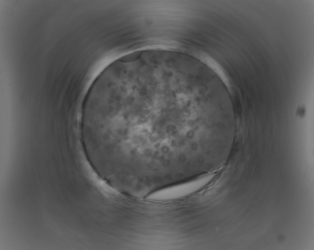 X0000092291099200709281301