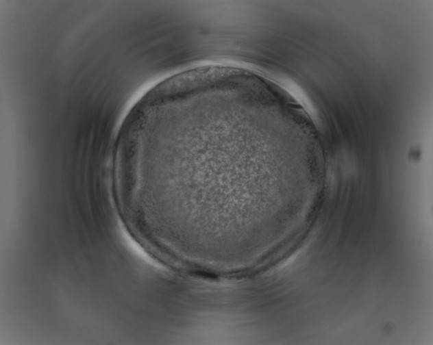 X0000092291100200709281301