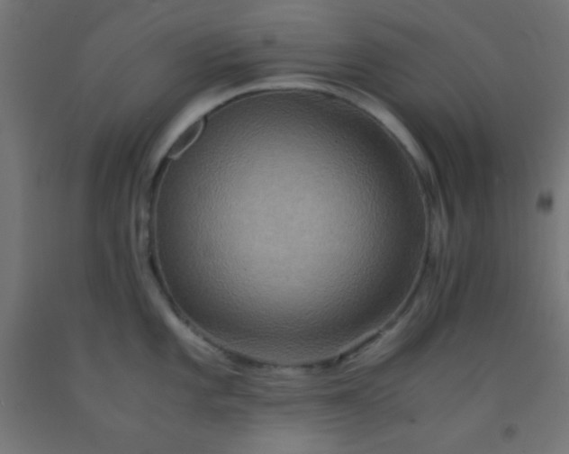 X0000092291101200709281301