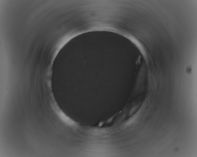 X0000092291102200709281301