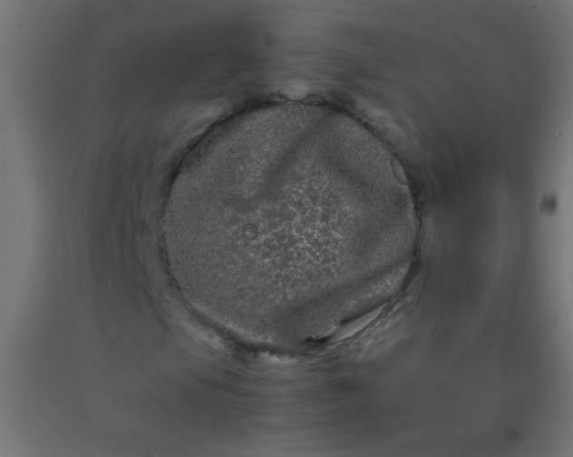 X0000092291105200709281300