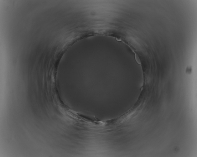 X0000092291106200709281300