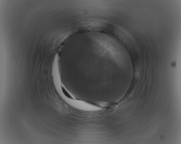 X0000092291108200709281300