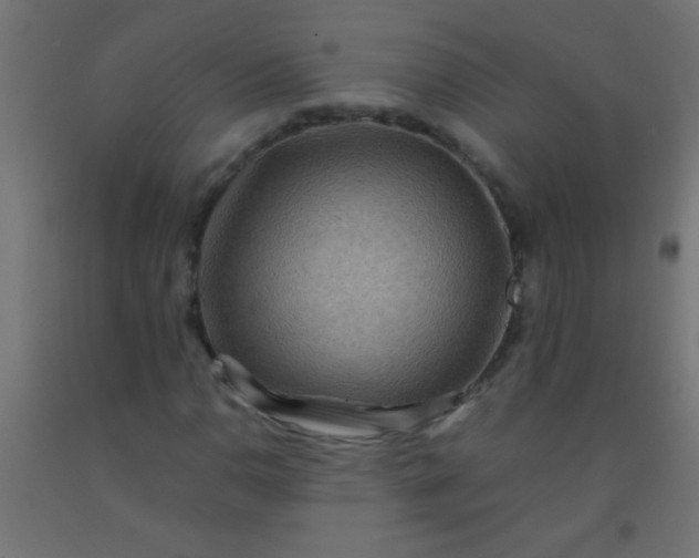 X0000092291110200709281300