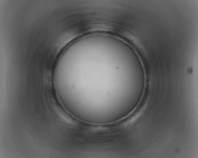 X0000092291113200709281300